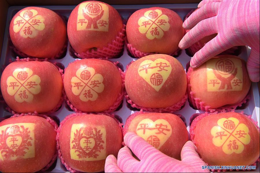 CHINA-SHANDONG-YIYUAN-MANZANAS-COSECHA 