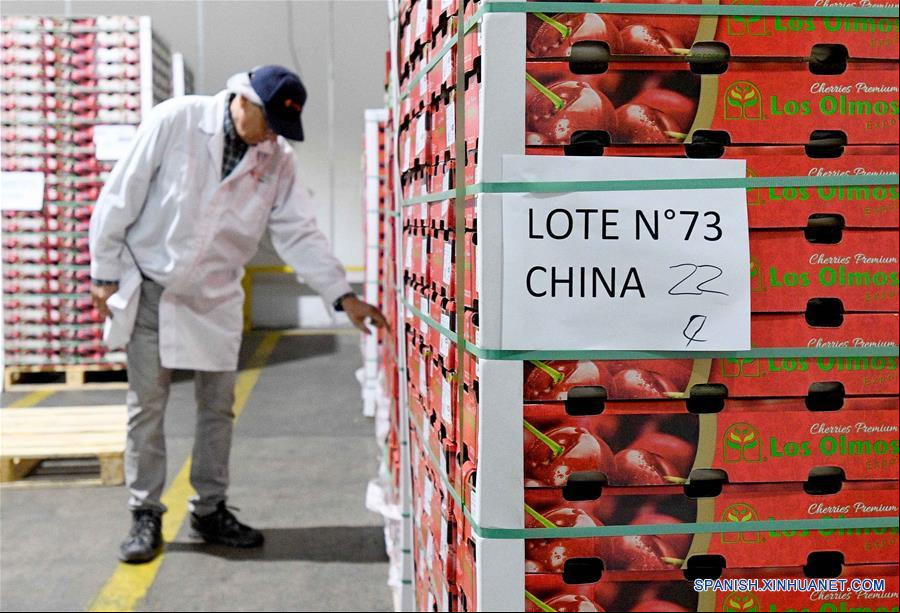 CHILE-SANTIAGO-CHINA-CEREZAS-EXPORTACION-SERIE