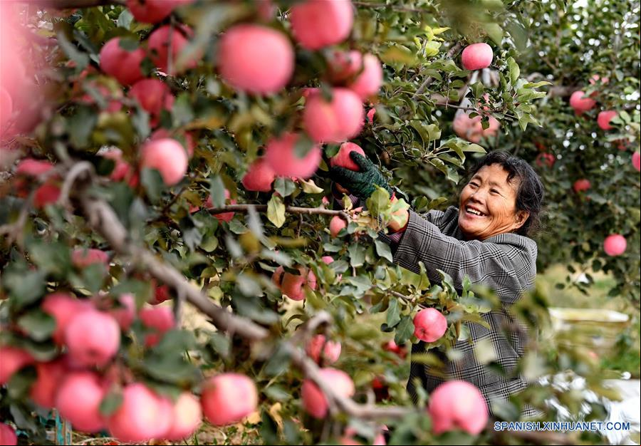 CHINA-HEBEI-AGRICULTURA-DESARROLLO
