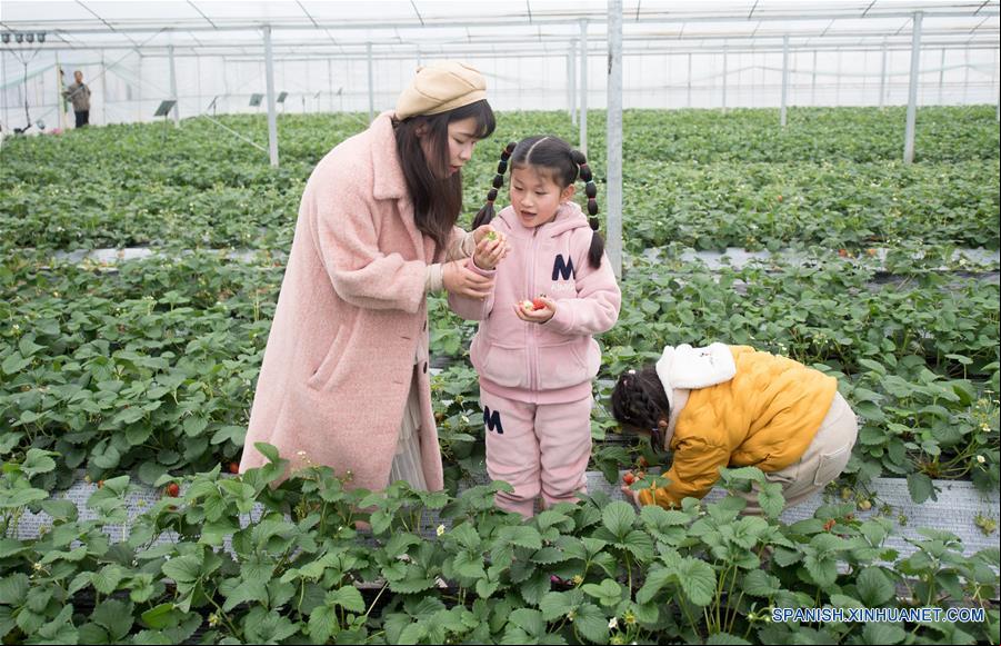 CHINA-ZHEJIANG-AGRICULTURA