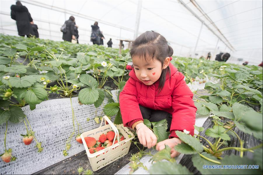 CHINA-ZHEJIANG-AGRICULTURA