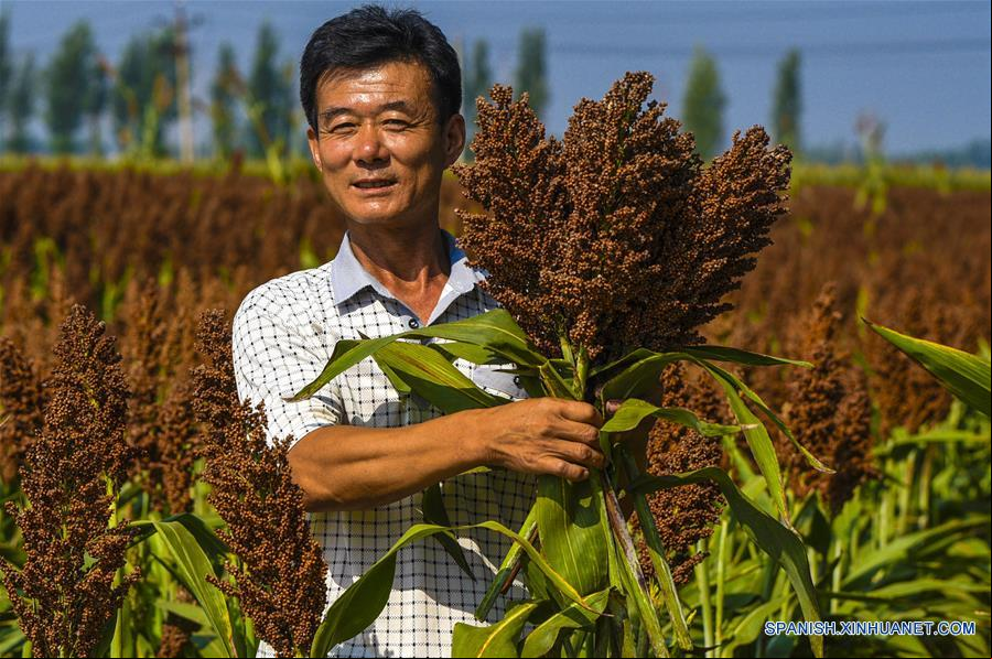 CHINA-HEBEI-AGRICULTURA
