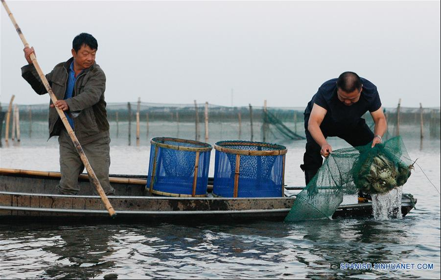 CHINA-JIANGSU-CANGREJO-CULTIVADOR-SERIE
