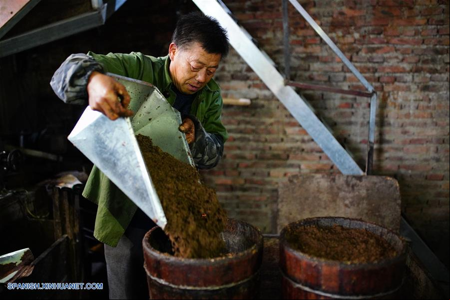 CHINA-GUANGXI-ACEITE DE CAMELIA-EXTRACCION