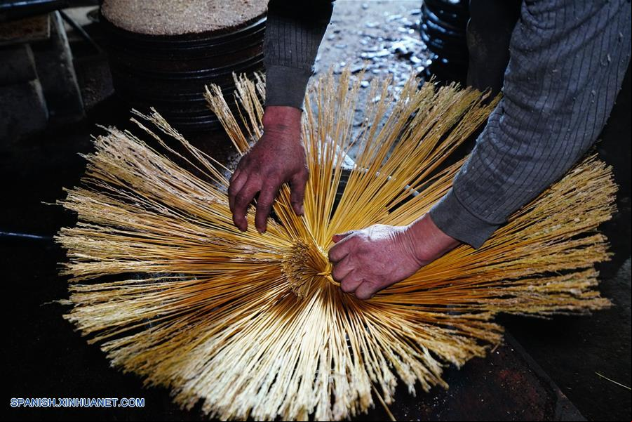 CHINA-GUANGXI-ACEITE DE CAMELIA-EXTRACCION