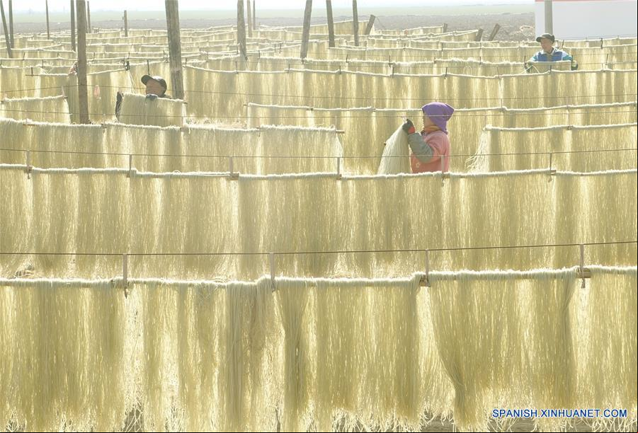 CHINA-SHANDONG-ELABORACION DE FIDEOS