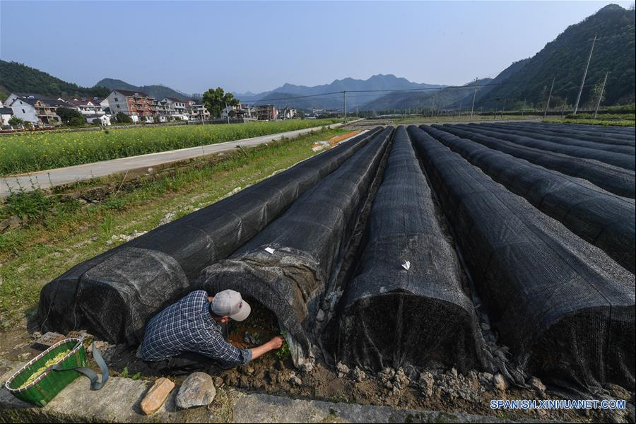 CHINA-ZHEJIANG-TE
