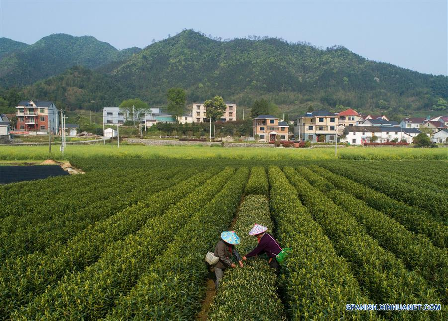 CHINA-ZHEJIANG-TE