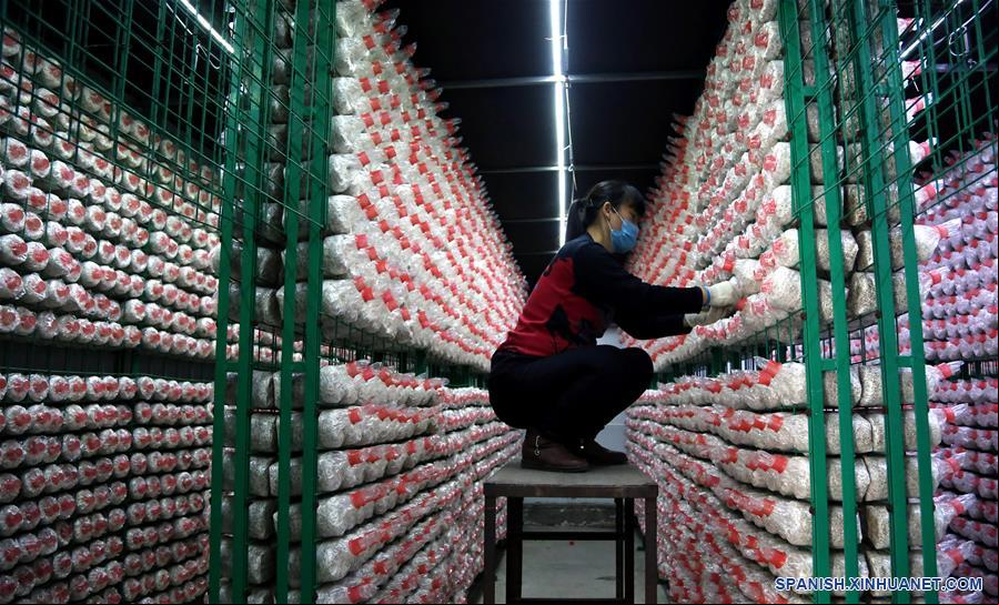 CHINA-HEBEI-DISTRITO DE WEIXIAN-REDUCCION DE LA POBREZA-LOGROS
