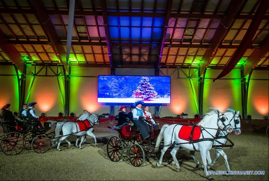 CROACIA-DAKOVO-BAILE DE NAVIDAD LIPIZZANER