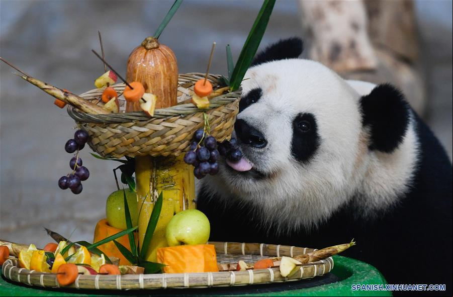 CHINA-HAINAN-HAIKOU-PANDAS GIGANTES