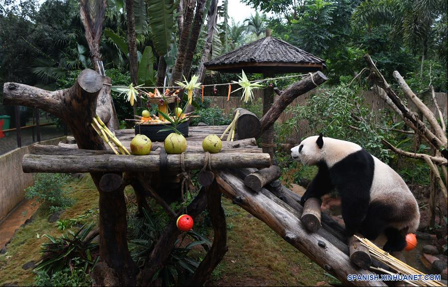 CHINA-HAINAN-HAIKOU-PANDAS GIGANTES