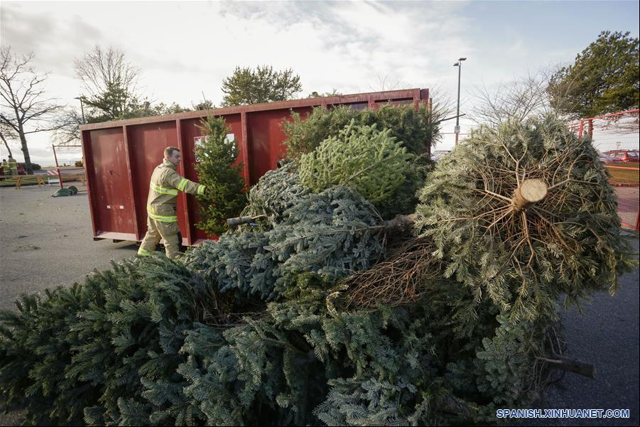 CANADA-RICHMOND-ARBOLES DE NAVIDAD-RECICLADO