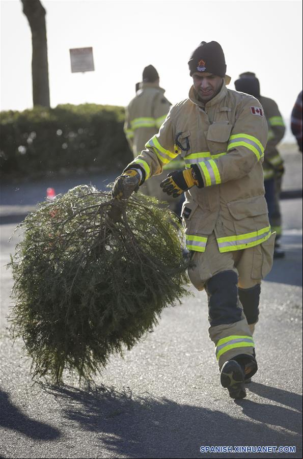 CANADA-RICHMOND-ARBOLES DE NAVIDAD-RECICLADO