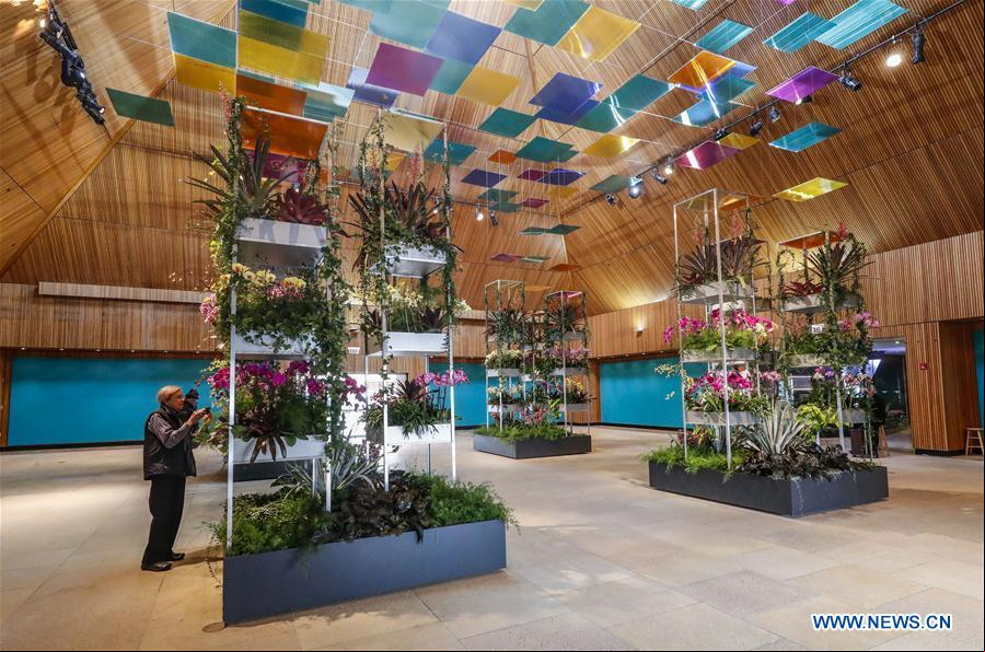 EEUU-GLENCOE-JARDIN BOTANICO DE CHICAGO-EXPOSICION DE ORQUIDEAS