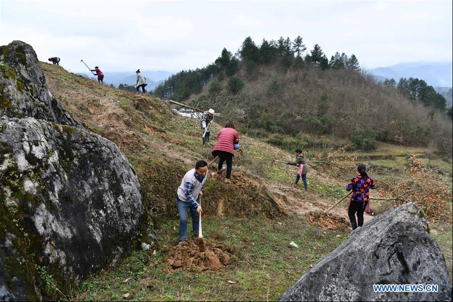 CHINA-GUIZHOU-PRIMAVERA-AGRICULTURA