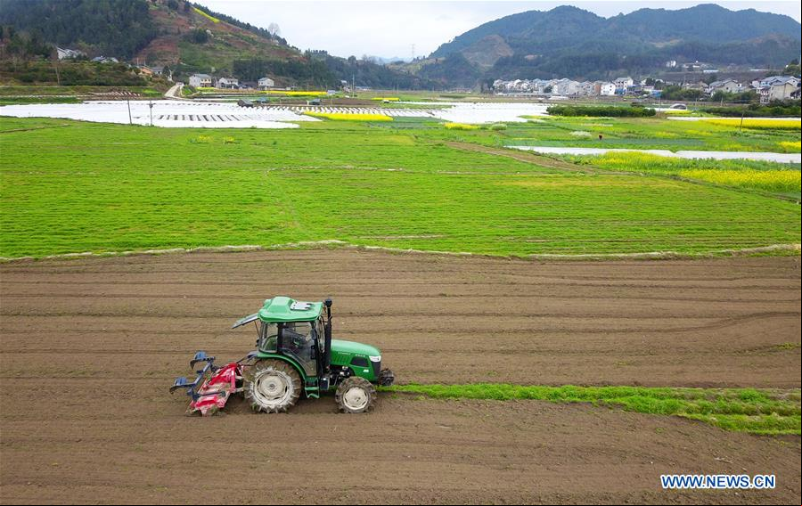 CHINA-GUIZHOU-PRIMAVERA-AGRICULTURA