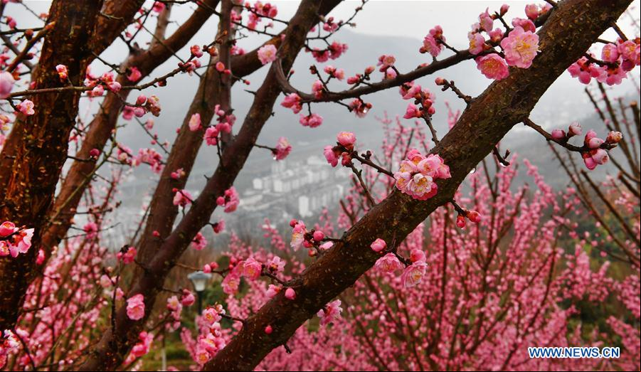 CHINA-SHAANXI-PAISAJE DE PRIMAVERA
