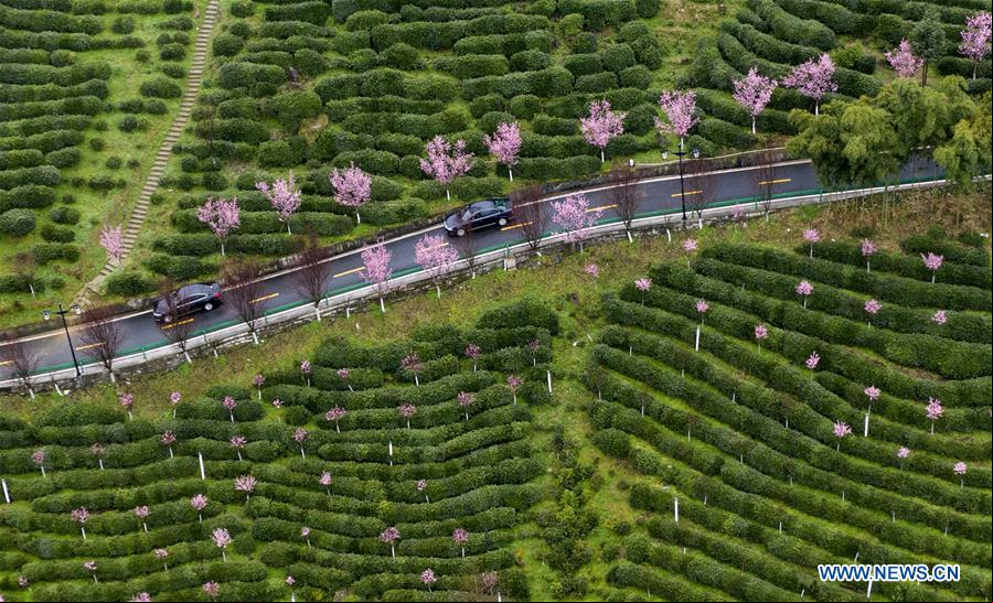 CHINA-SHAANXI-PAISAJE DE PRIMAVERA