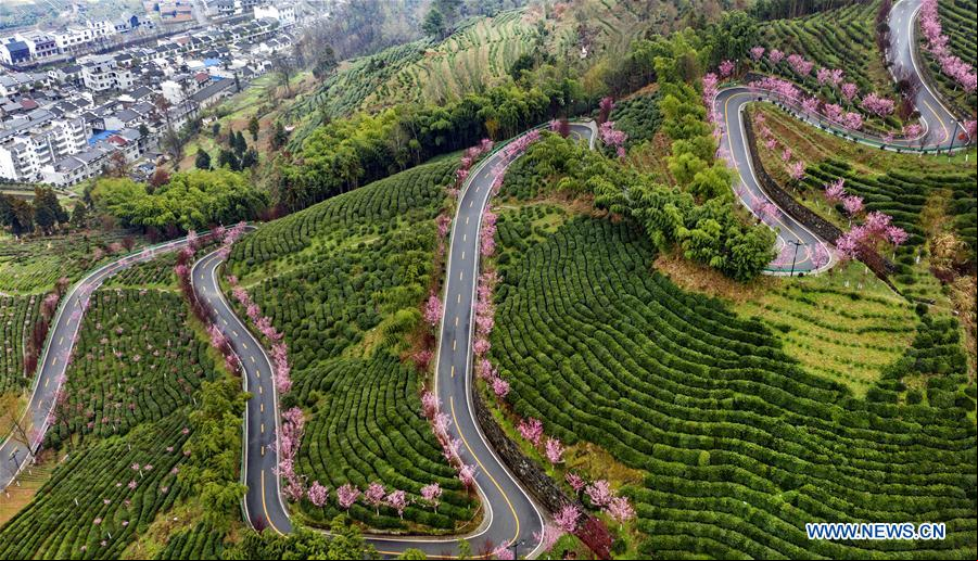 CHINA-SHAANXI-PAISAJE DE PRIMAVERA