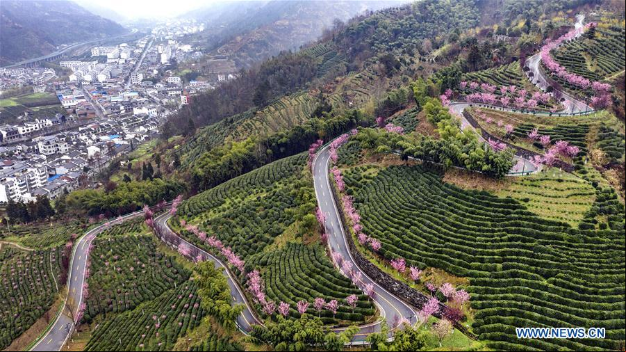 CHINA-SHAANXI-PAISAJE DE PRIMAVERA