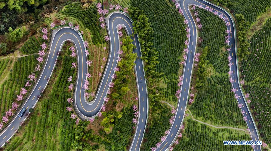 CHINA-SHAANXI-PAISAJE DE PRIMAVERA