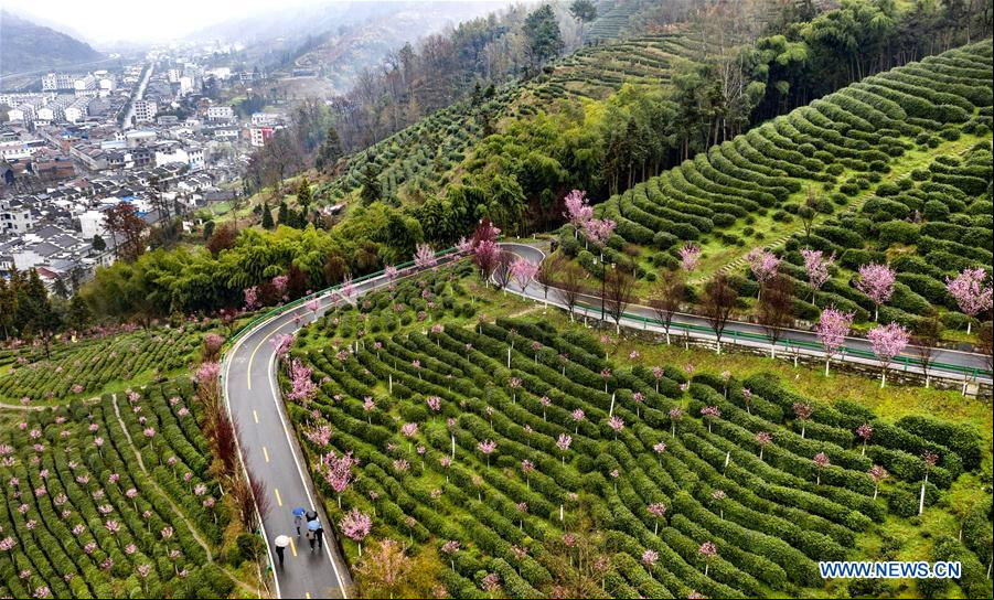 CHINA-SHAANXI-PAISAJE DE PRIMAVERA