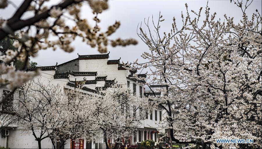 CHINA-SHAANXI-PAISAJE DE PRIMAVERA