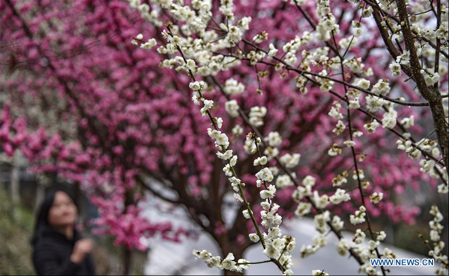 CHINA-SHAANXI-PAISAJE DE PRIMAVERA