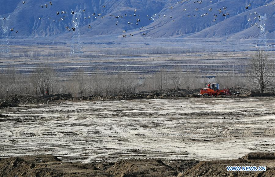 CHINA-TIBET-XIGAZE-AGRICULTURA