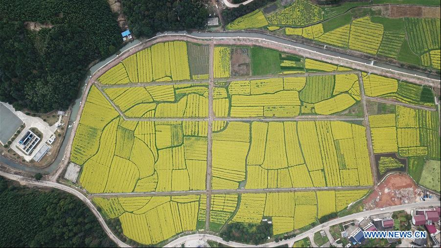 CHINA-HUNAN-AGRICULTURA