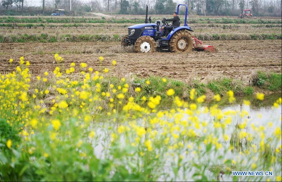 CHINA-JIANGXI-PRIMAVERA-AGRICULTURA