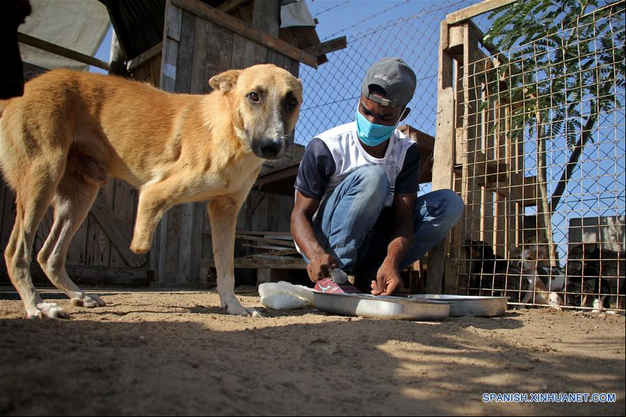 MEDIO ORIENTE-GAZA-PERROS