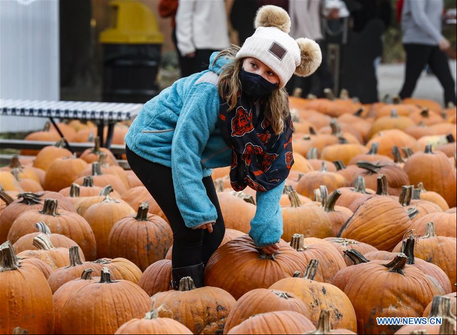 EEUU-ILLINOIS-LINCOLNSHIRE-FESTIVAL DE CALABAZA