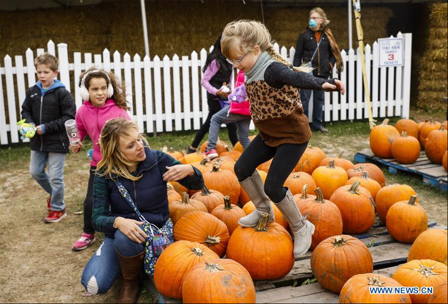 EEUU-ILLINOIS-LINCOLNSHIRE-FESTIVAL DE CALABAZA
