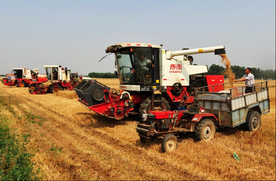 China registra excelente cosecha en 2020 con ascenso de producción cerealera de 0,9 %