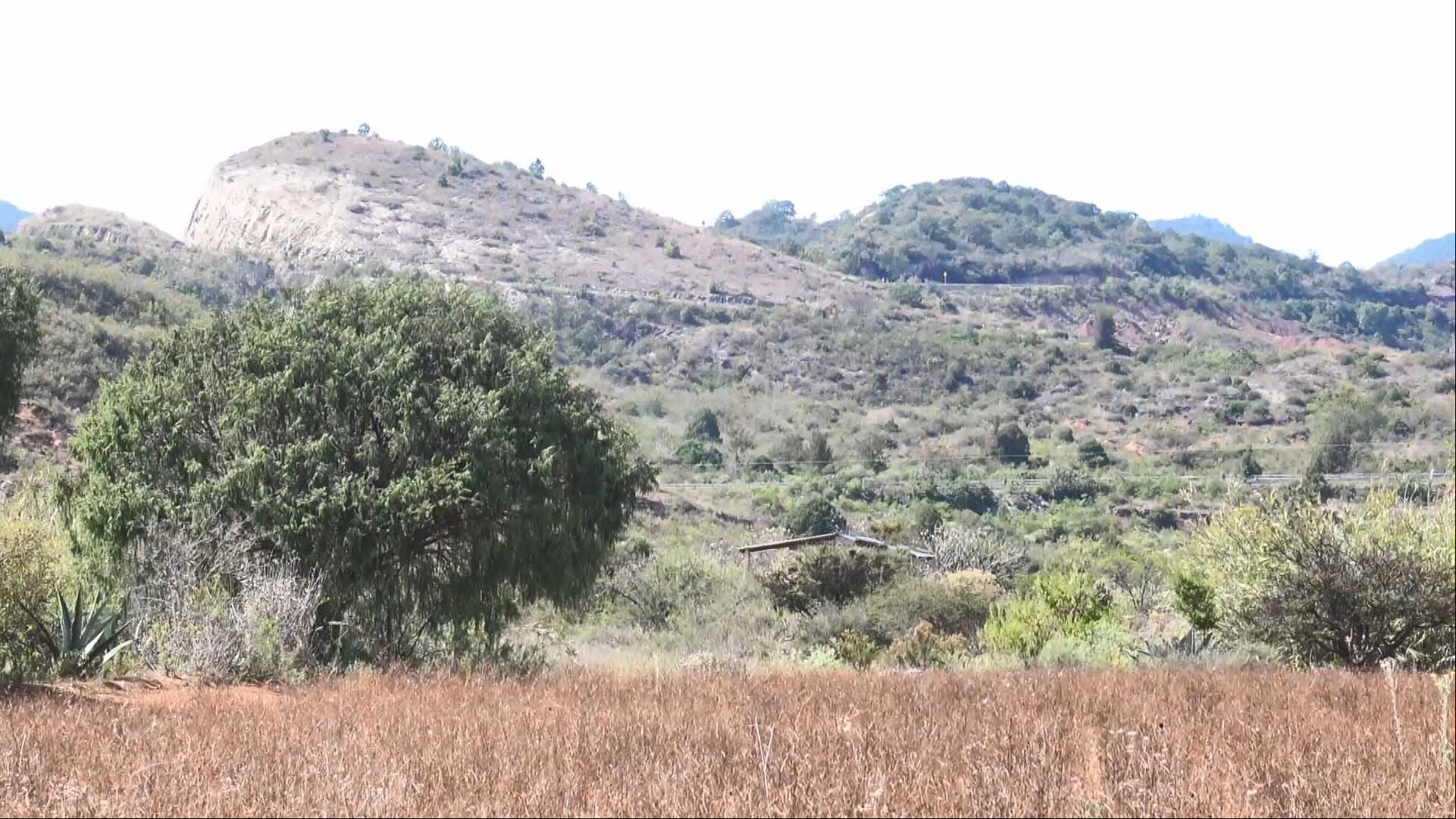 Campesino reforesta una región erosionada de México
