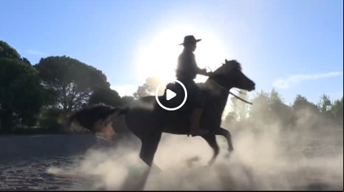 Centro familiar de entrenamiento mantiene viva la tradición del caballo criollo en argentina
