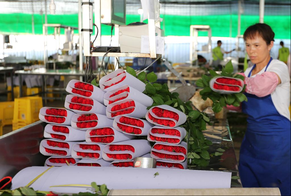 Crece 51 % comercio exterior de Yunnan entre enero y agosto