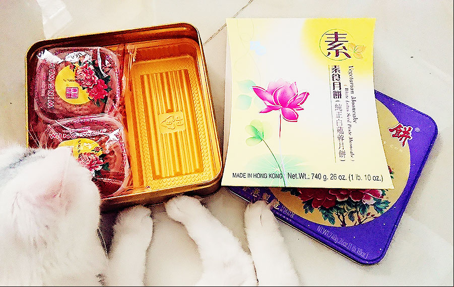 ESPECIAL: Muchos en China optan por sabores de lo saludable este Medio Otoño