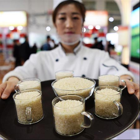 Festival Internacional del Arroz de China comienza en Harbin