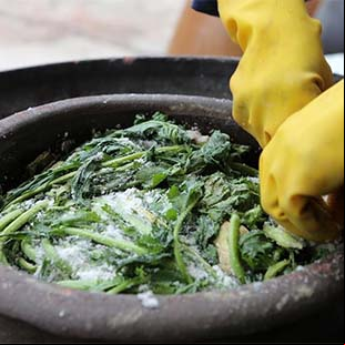 Vegetales en escabeche