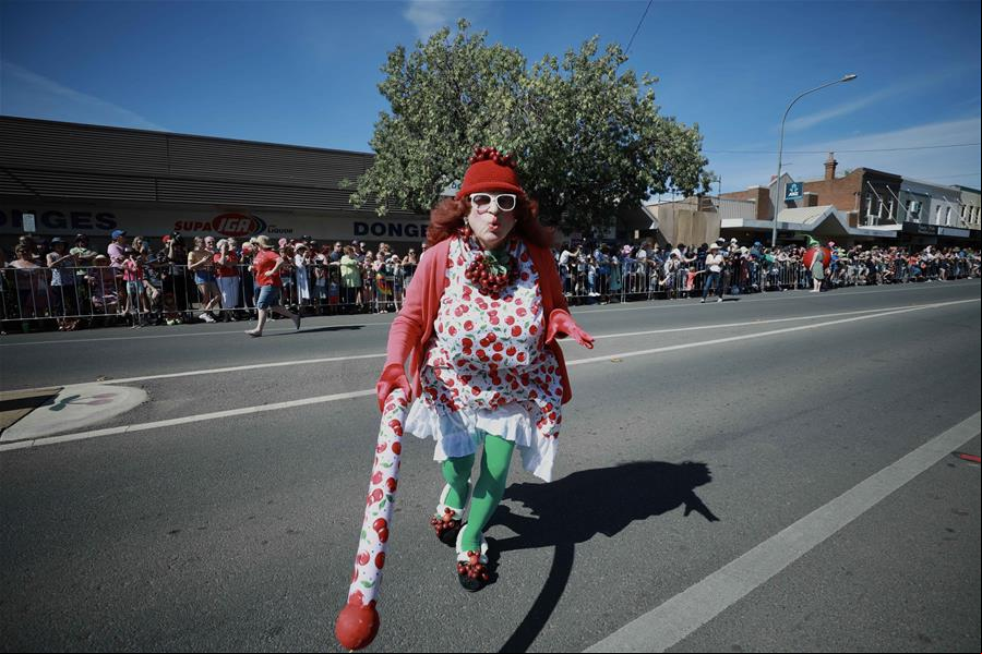 Australia: El 70°Festival Nacional de la Cereza