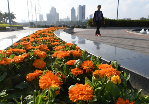 Flores al Lago Nanhu en Nanning, Guangxi
