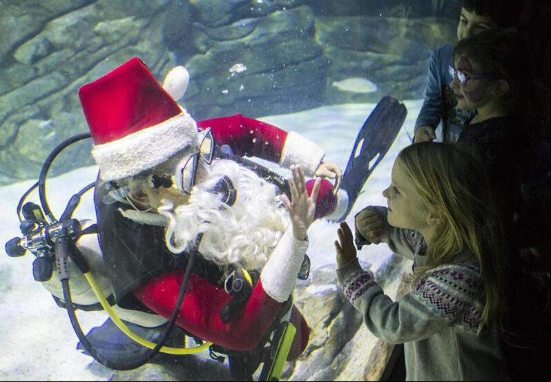 Espectáculo festivo en Acuario de Ripley de Canadá
