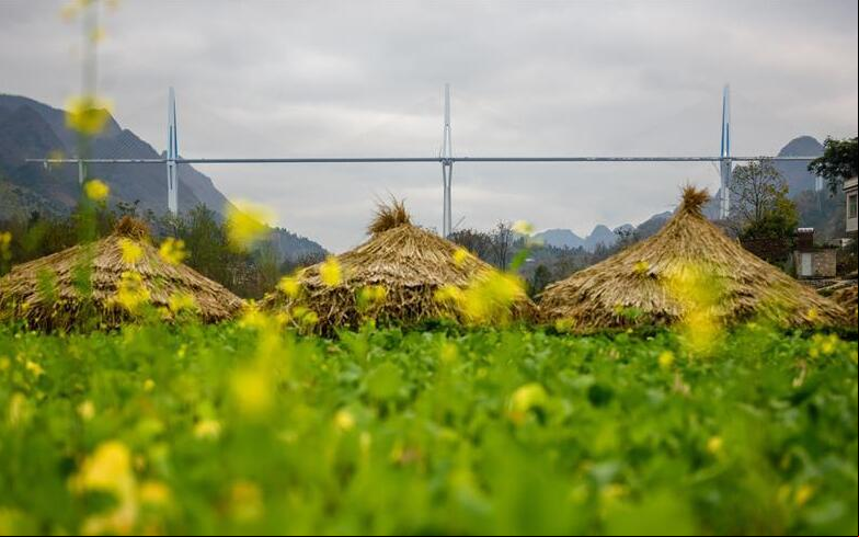 Puente de Pingtang en Guizhou