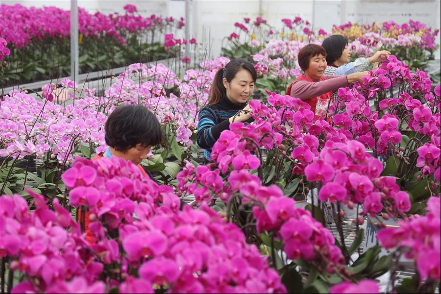 La industria de las flores ha ayudado a mujeres de sus zonas rurales a salir del desempleo