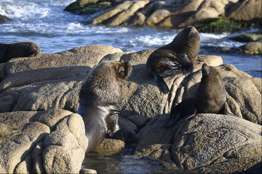 El Parque Nacional Cabo Polonio en Uruguay