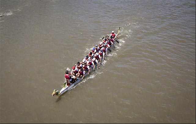 Multitud celebra carrera de botes de dragón en Argentina