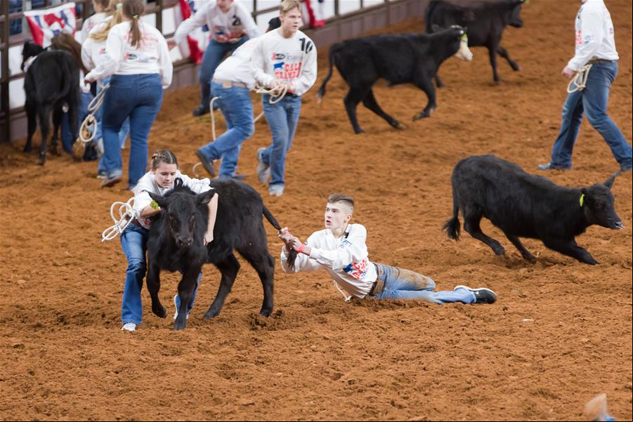 La Feria de Ganado y Rodeo de Fort Worth 2020
